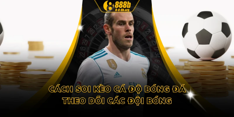 Cách soi kèo cá độ bóng đá - Theo dõi các đội bóng