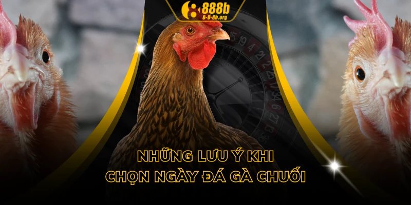 Những lưu ý khi chọn ngày đá gà chuối